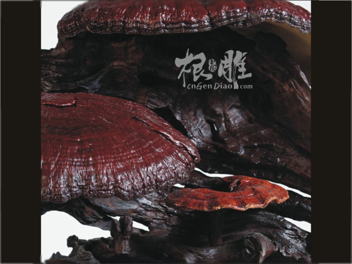 天然灵芝根艺摆件欣赏